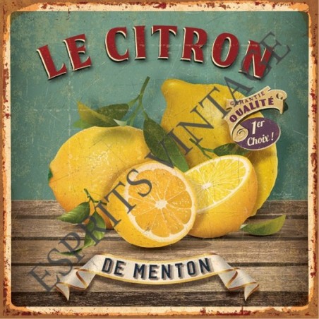 Set de table 30 x 42 cm le célèbre citron de menton