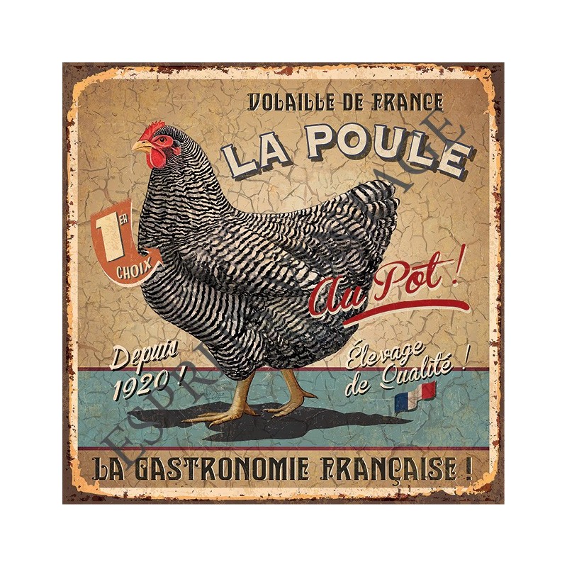 Set de table 30 x 42 cm la célebre poule de la gastronomie francaise