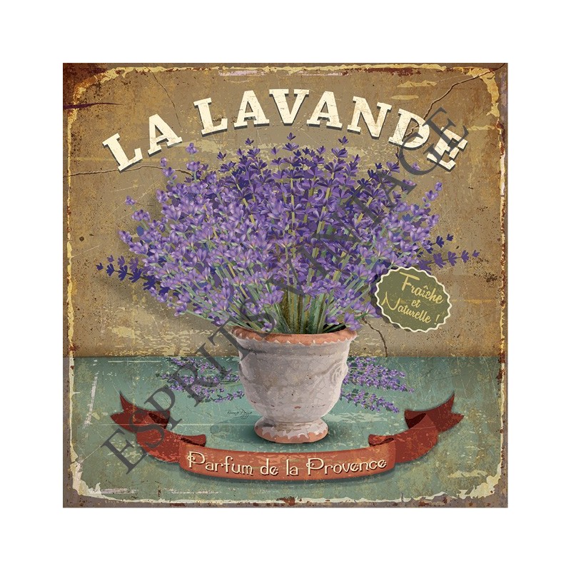 Patère 12 x 30 cm un bouquet de lavande dans un pot en terre cuite