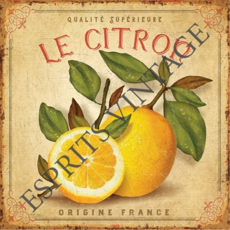 Dessous de plat 20x20 cm le citron de qualité francaise