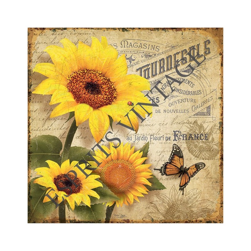 Patère 12 x 30 cm Tournesols papillon écriture vintage
