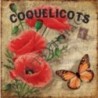 Patère 12 x 30 cm coquelicots papillon partition de musique