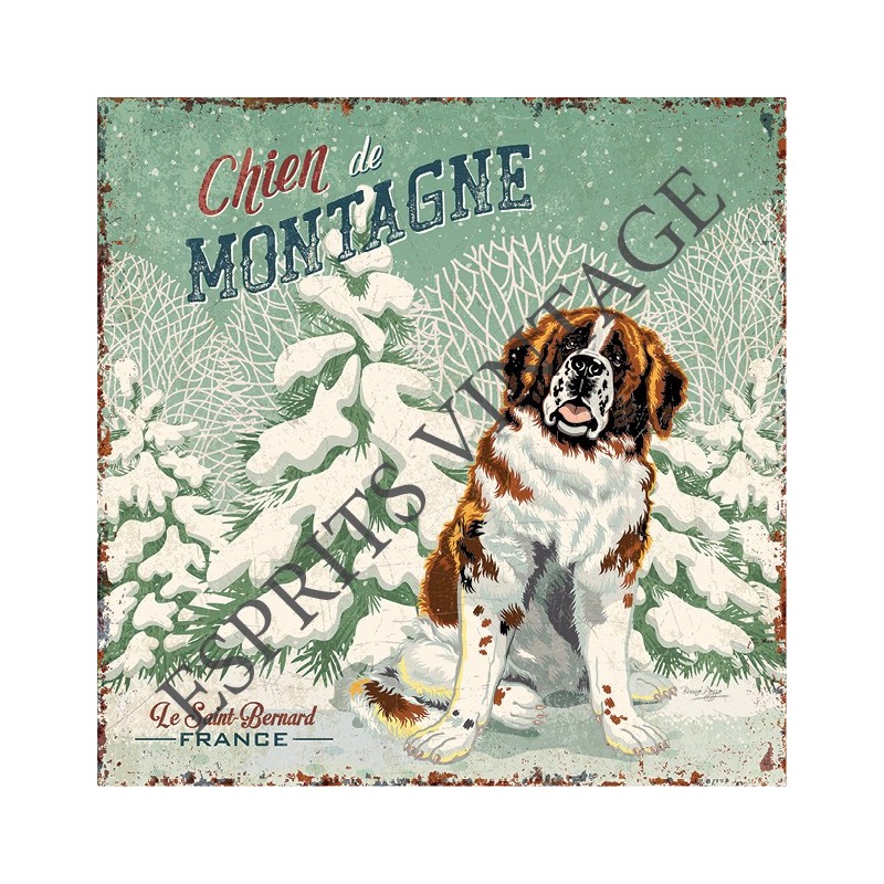 Patère 12 x 30 cm le saint bernard dans la neige