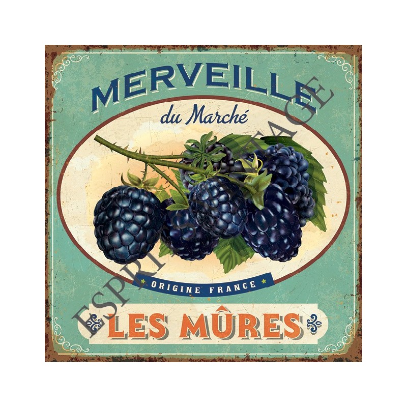 Patère 12 x 30 cm les merveilleuses mures du marché