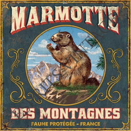 Set de table 30x42 cm la fameuse marmotte des montagnes