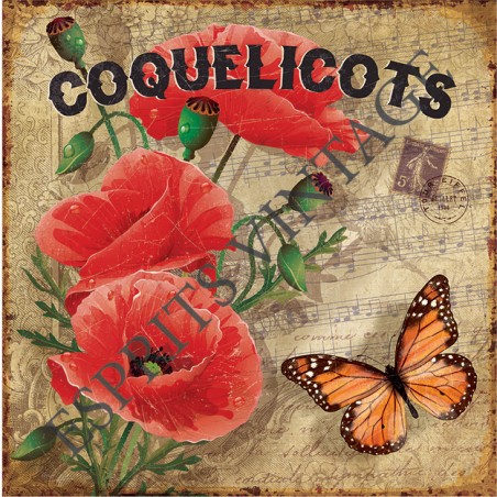 Set de table 30x42 cm coquelicots papillon partition de musique