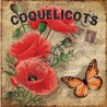 Set de table 30x42 cm coquelicots papillon partition de musique