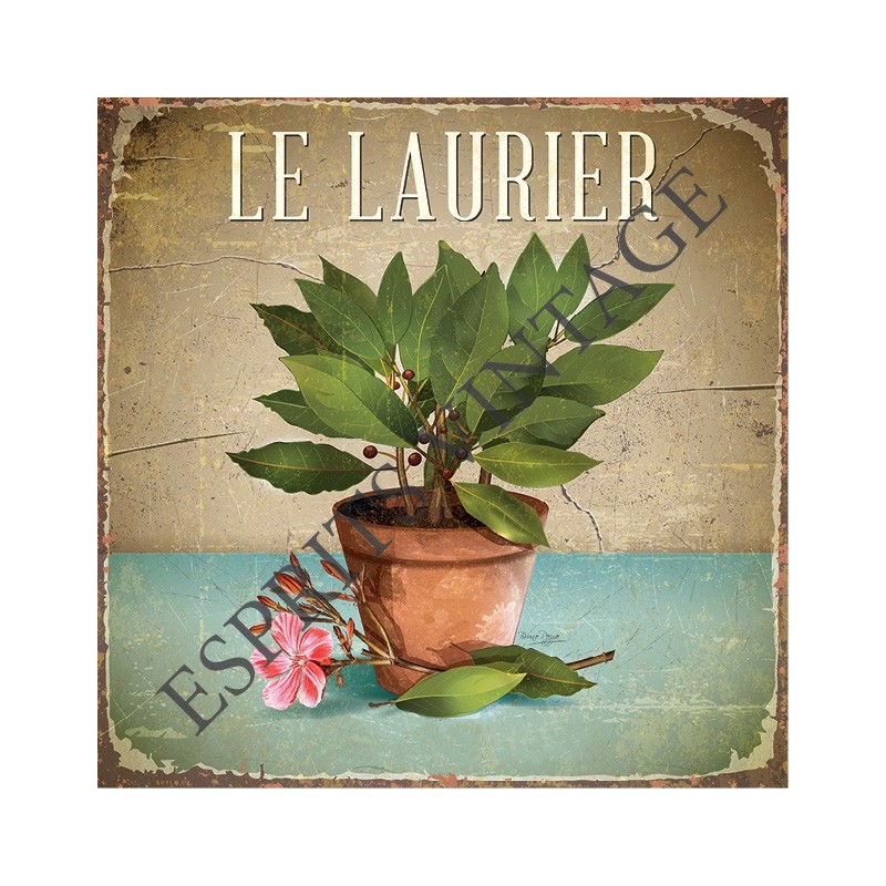 Dessous de plat 20x20 cm l'authentique pot de laurier 