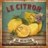 Plaque métal 19x19 19 x 19 cm le célèbre citron de menton