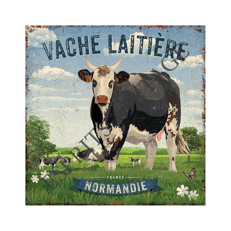 Bouteille isotherme blanche 500 ml