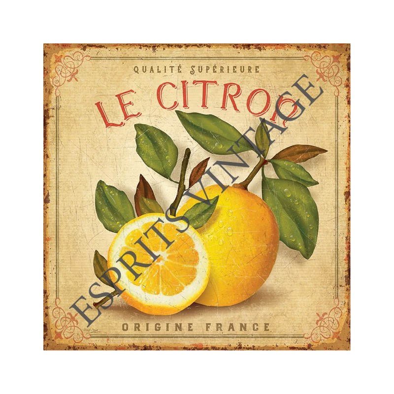 Plaque métal 19x19 19 x 19 cm le citron de qualité francaise