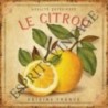 Plaque métal 19x19 19 x 19 cm le citron de qualité francaise