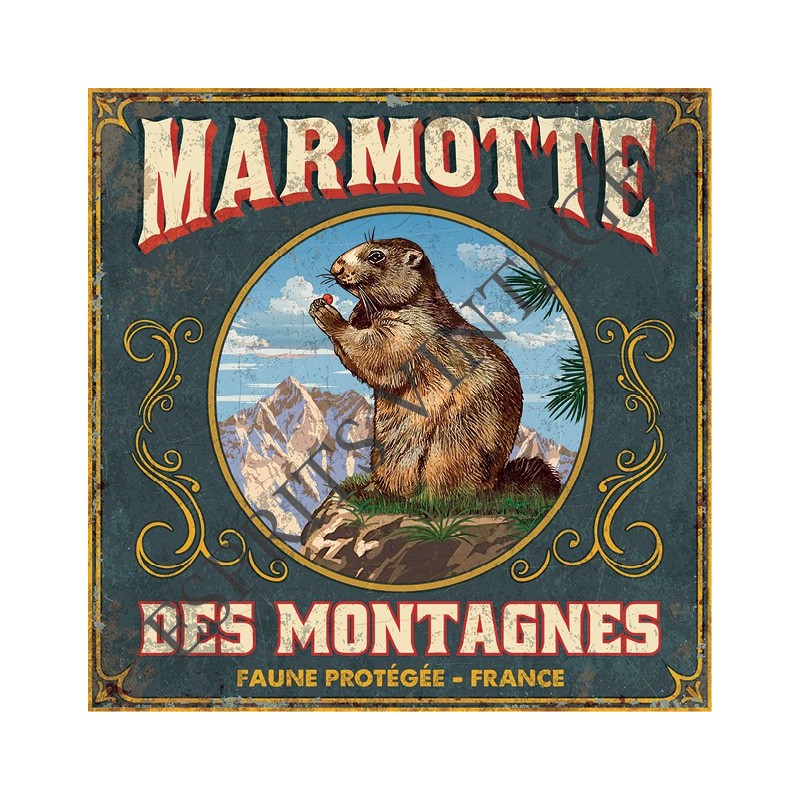 Plaque métal 29x29 29 x 29 cm la fameuse marmotte des montagnes
