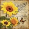 Décapsuleur 12 x 30 cm Tournesols papillon écriture vintage