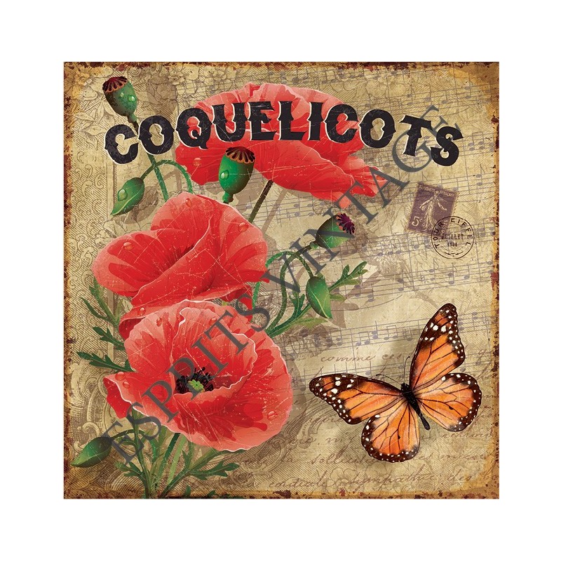 Décapsuleur 12 x 30 cm coquelicots papillon partition de musique